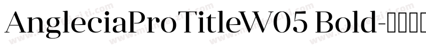 AngleciaProTitleW05 Bold字体转换